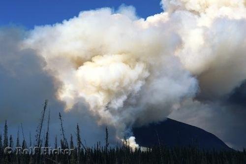 Photo: 
Wildfire Yukon