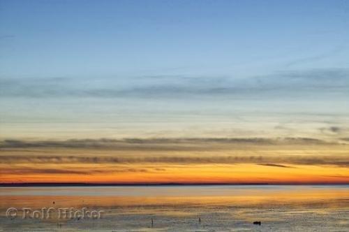 Photo: 
Willapa Bay Washington USA