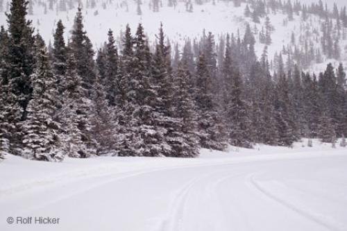 Photo: 
winter mountain