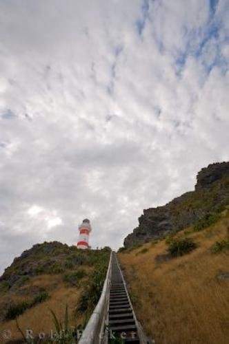 Photo: 
Wooden Stairs Cape Palliser Lighthouse Cliff