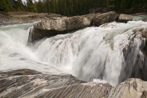 Photo: 
yoho