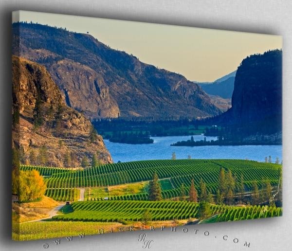 Photo: 
Okanagan Blue Mountain Vineyard Canvas Fine Art Photo