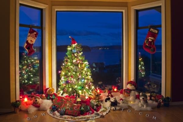 Photo: 
Christmas Stockings Tree Scene