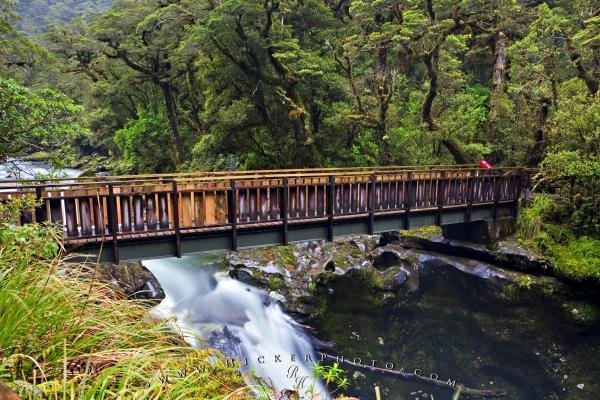 Photo: 
Chasm Bridge Fiordland National Park NZ