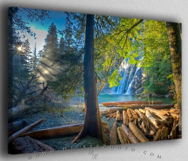 Photo: 
Clayoquot Sound Forest with Sun Rays Canvas Fine Art Photo