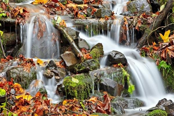 Photo: 
Fall Leaves Waterfall Flowing Water