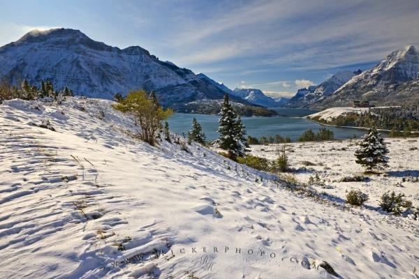 Photo: 
Fresh Winter Snowfall Waterton Lakes