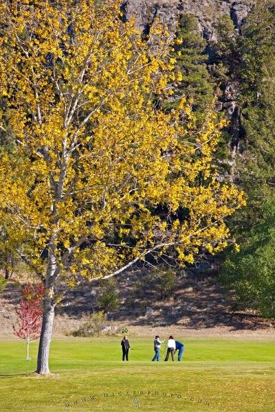 Photo: 
People Golfing Fall Okanagan Valley