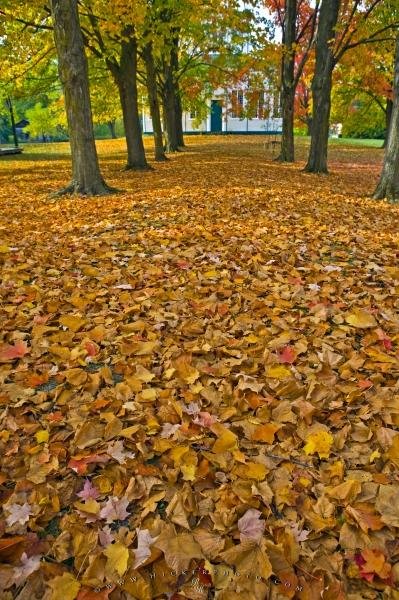 Photo: 
Path Covered Fall Leaves Sharon Temple Ontario