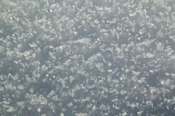 Photo: 
Snow Flakes