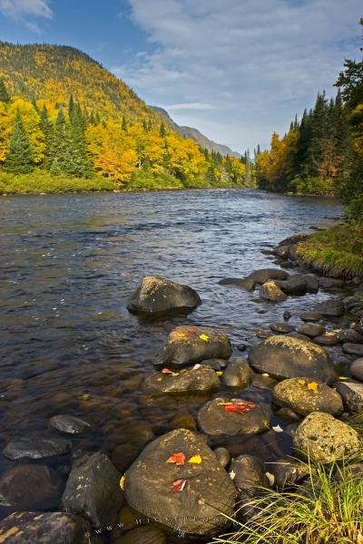 Photo: 
Parc De La Jacques Cartier River Fall Scenery Picture Quebec