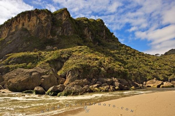 Photo: 
Scenic Beach Landscape West Coast New Zealand