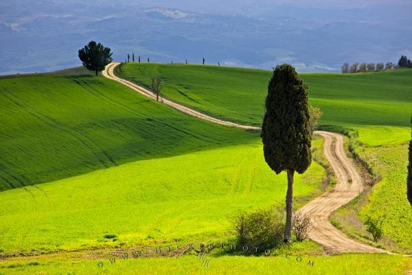 Photo: 
Scenic Picture Country Road Tuscany Italy
