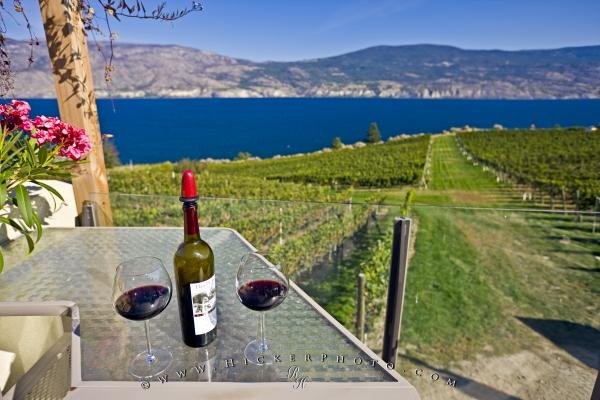 Photo: 
Scenic Okanagan Lake Vineyard Bonitas Winery