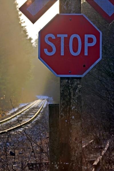 Photo: 
Stop Sign Railway Tracks Picture