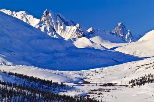 Photo: 
tombstone valley