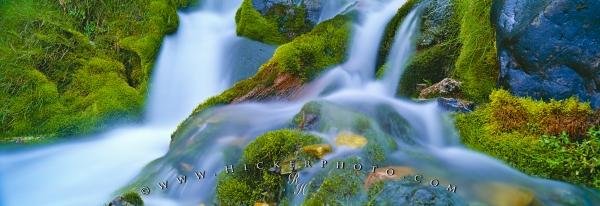 Photo: 
Panorama Rainforest Green Moss Waterfall Haida Gwaii