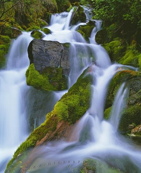 Photo: 
Green Moss Rainforest Waterfall Picture