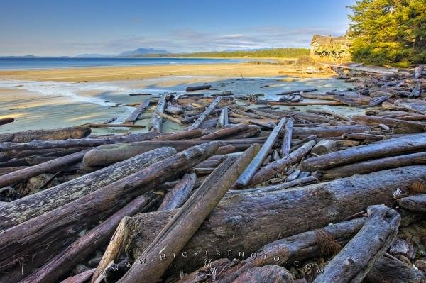 Photo: 
Wickaninnish Beach Driftwood Picture