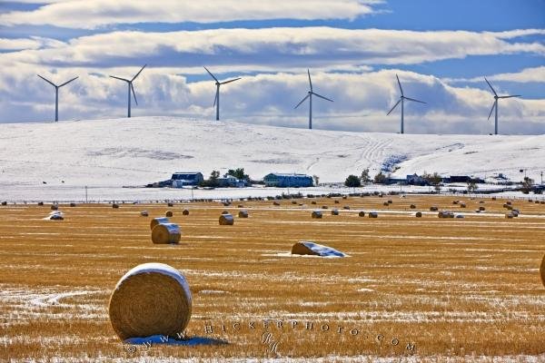 Photo: 
Hay Bales Wind Turbines Alberta