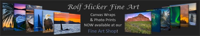 Rolf Hicker Fine Art Shop